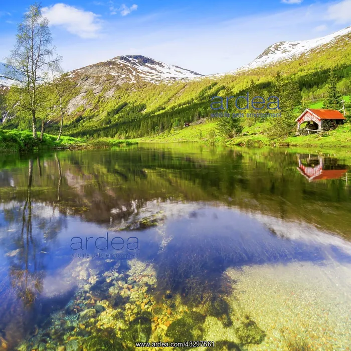 : Lake Dalevatnet, Sogn og Fjordane, Norway, Europe : Lake Dalevatnet, Sogn og Fjordane, Norway, Europe