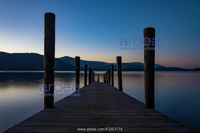  : Lake Derwentwater with jetty at sunset, Keswick