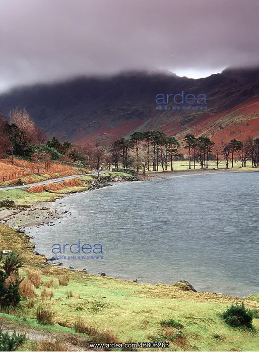 : LAKE DISTRICT - Buttermere Fells with low lying cloud : LAKE DISTRICT - Buttermere Fells with low lying cloud