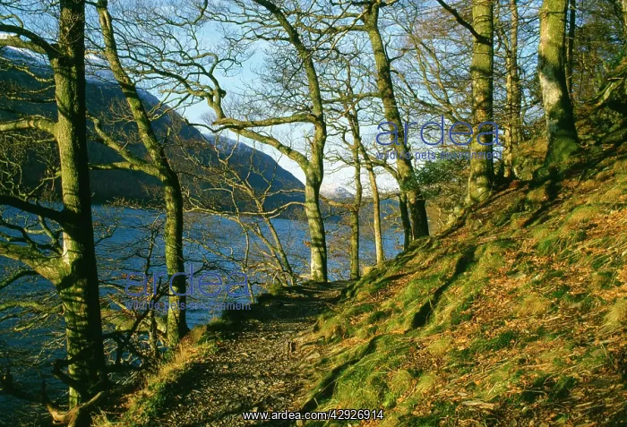 : LAKE DISTRICT- LAKE BUTTERMERE : LAKE DISTRICT- LAKE BUTTERMERE