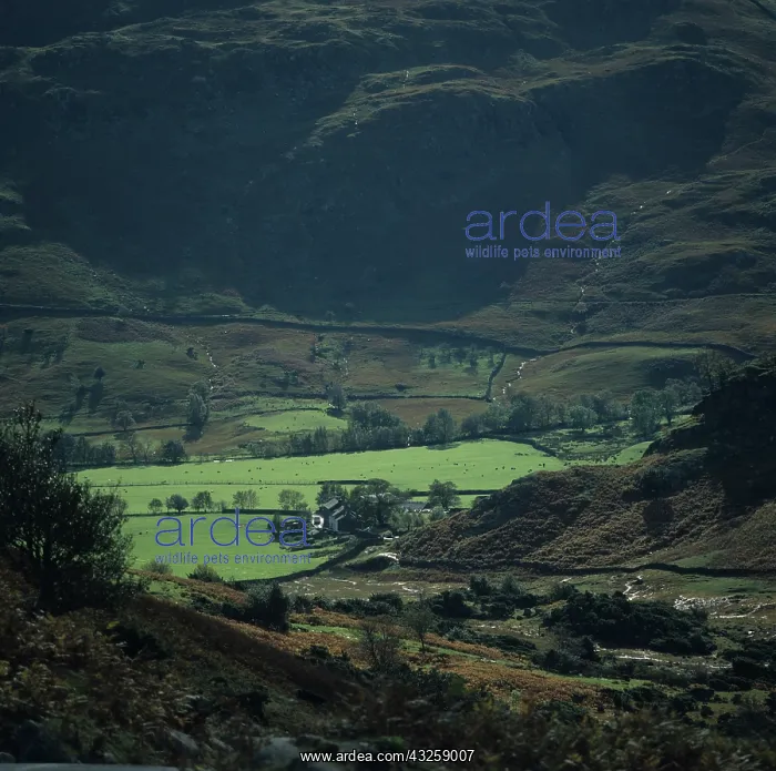 : Lake District scene after a heavy rain : Lake District scene after a heavy rain