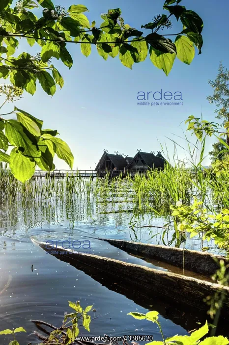 : Lake Dwelling Museum Unteruhldingen in Lake Constance : Lake Dwelling Museum Unteruhldingen in Lake Constance