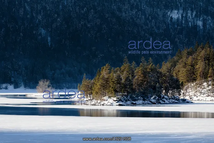 : Lake Eibsee during winter with the Wetterstein : Lake Eibsee during winter with the Wetterstein