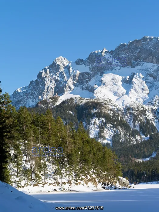 : Lake Eibsee during winter with the Wetterstein : Lake Eibsee during winter with the Wetterstein