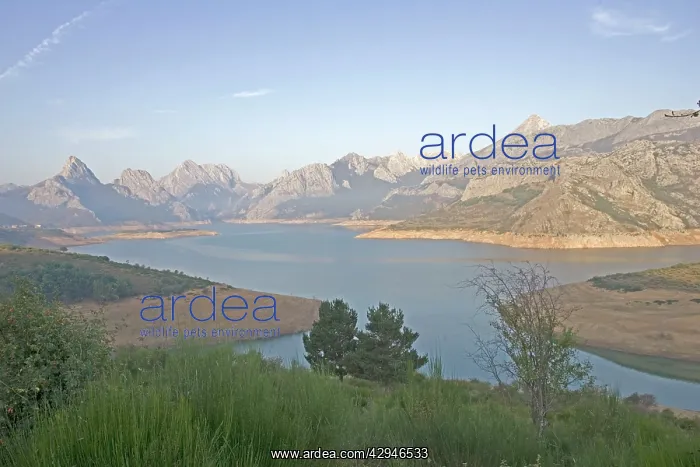 : Lake at Embaise de Riano : Lake at Embaise de Riano