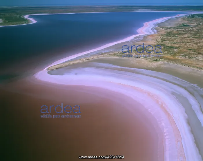 : Lake Eyre North - dry salt lake that floods a few : Lake Eyre North - dry salt lake that floods a few
