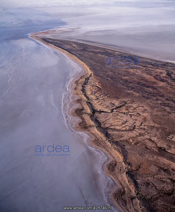 : Lake Eyre north Elliott Price Conservation Park : Lake Eyre north Elliott Price Conservation Park