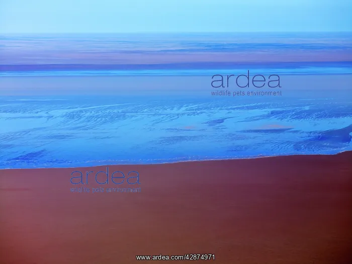 : Lake Eyre north South Australia. 2009 flood : Lake Eyre north South Australia. 2009 flood