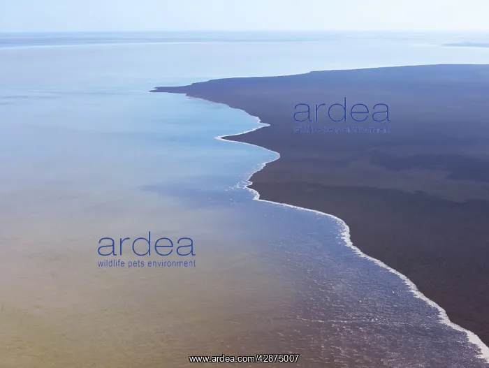 : Lake Eyre north South Australia. 2009 flood : Lake Eyre north South Australia. 2009 flood