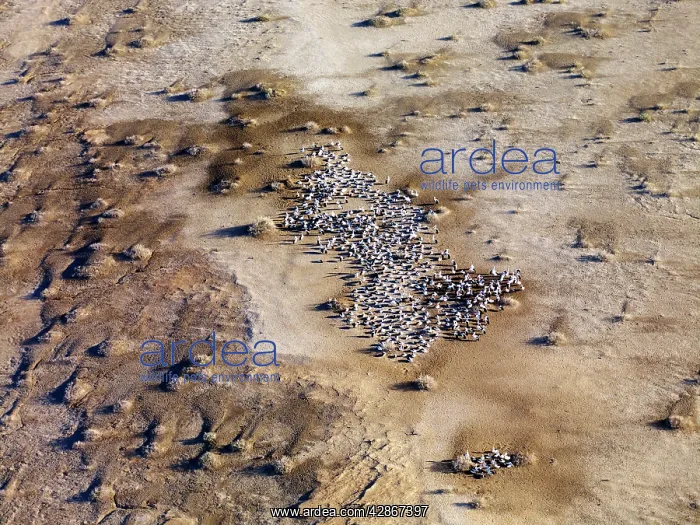 : Lake Eyre north South Australia : Lake Eyre north South Australia