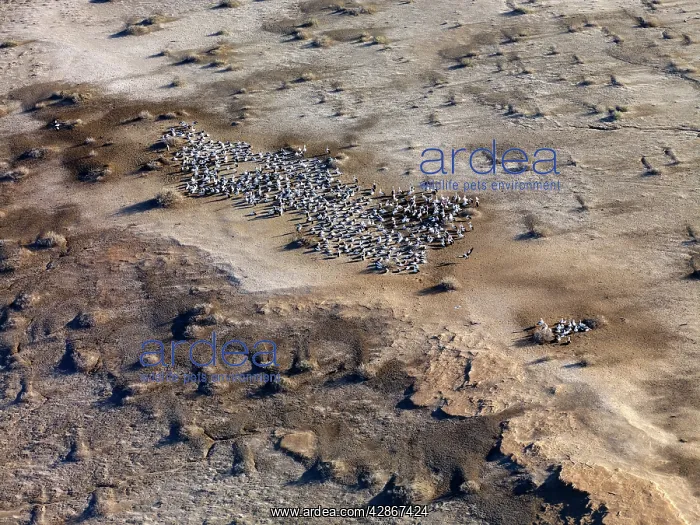: Lake Eyre north South Australia : Lake Eyre north South Australia