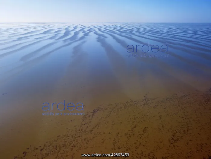  : Lake Eyre north South Australia