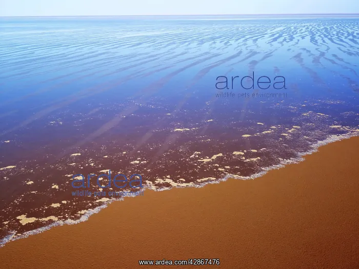 : Lake Eyre north South Australia : Lake Eyre north South Australia