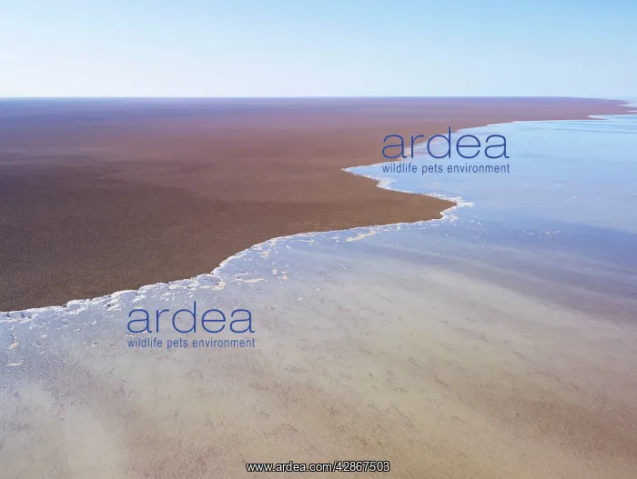 : Lake Eyre north South Australia : Lake Eyre north South Australia