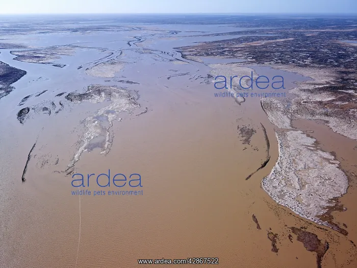 : Lake Eyre north South Australia : Lake Eyre north South Australia