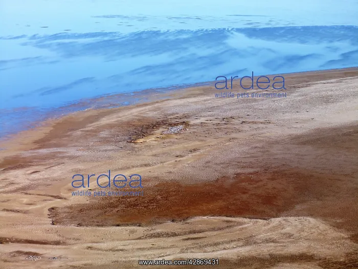  : Lake Eyre north South Australia