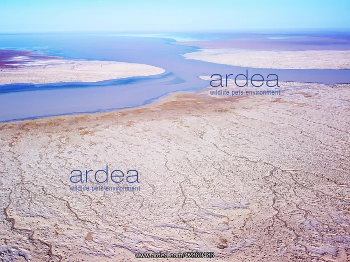 : Lake Eyre north South Australia : Lake Eyre north South Australia