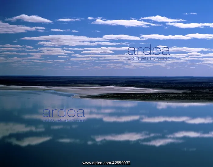 : Lake Eyre South : Lake Eyre South
