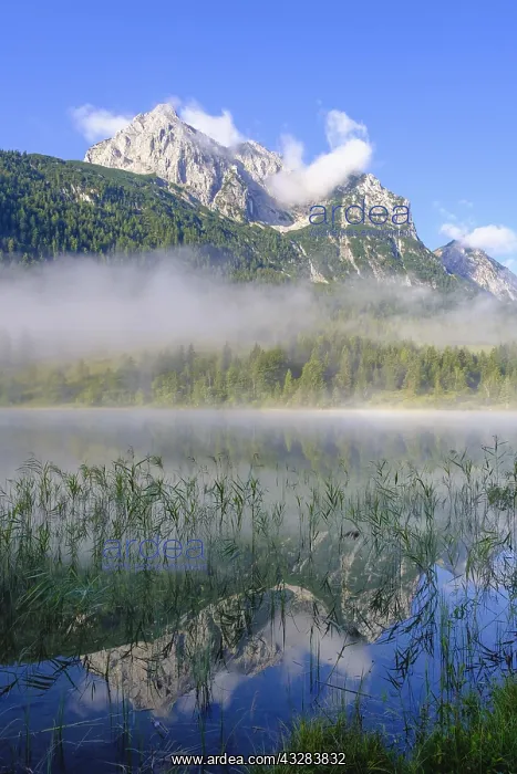  : Lake Ferchensee and Wettersteinspitze with early
