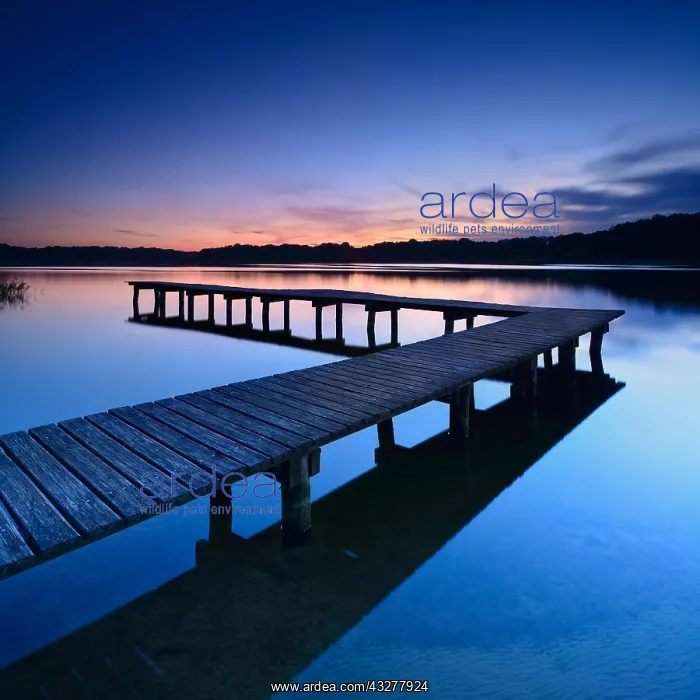  : Lake with footbridge after sunset, Lake Dambeck