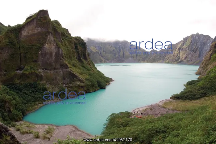 : A lake, formed in a crater of volcano Pinatubo : A lake, formed in a crater of volcano Pinatubo