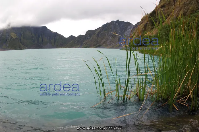 : A lake, formed in a crater of volcano Pinatubo : A lake, formed in a crater of volcano Pinatubo