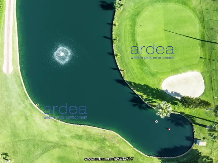 : Lake with fountain in the La Noria Golf Resort : Lake with fountain in the La Noria Golf Resort