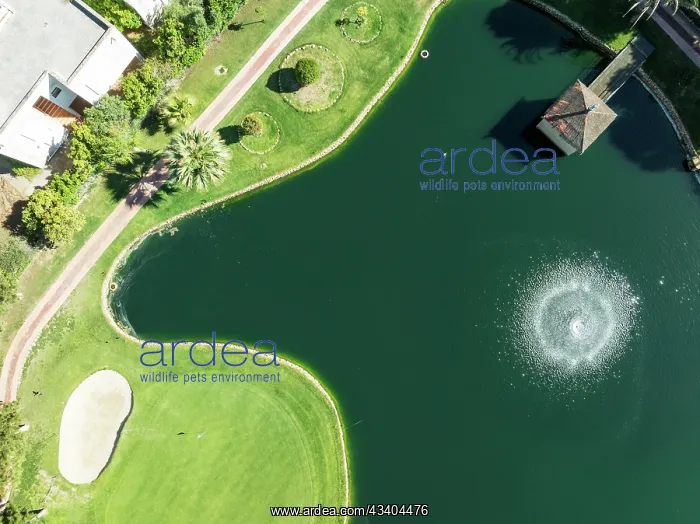 : Lake with fountain in the La Noria Golf Resort : Lake with fountain in the La Noria Golf Resort