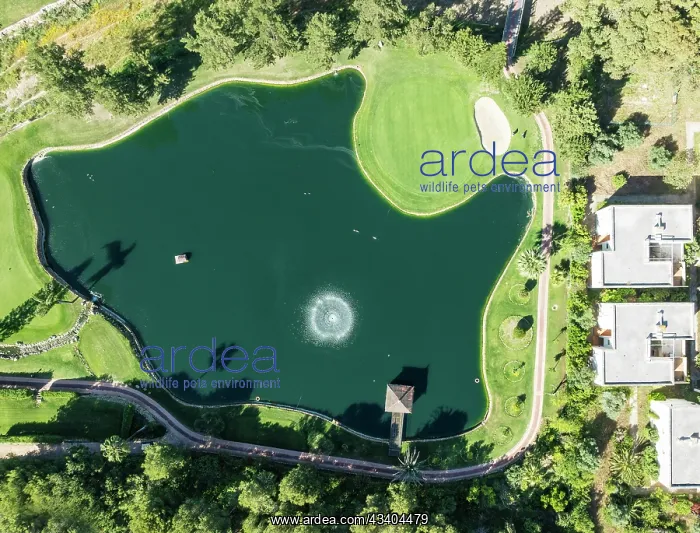 : Lake with fountain in the La Noria Golf Resort : Lake with fountain in the La Noria Golf Resort