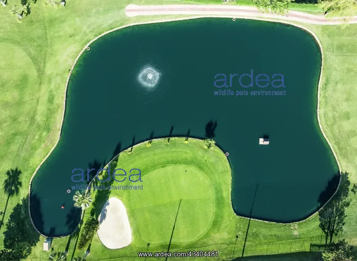 : Lake with fountain in the La Noria Golf Resort : Lake with fountain in the La Noria Golf Resort