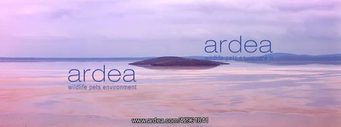 : Lake Gairdner : Lake Gairdner