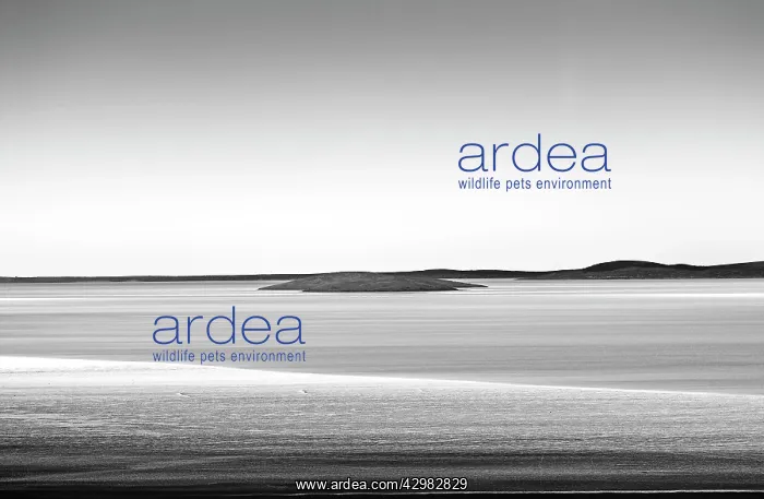 : Lake Gairdner : Lake Gairdner