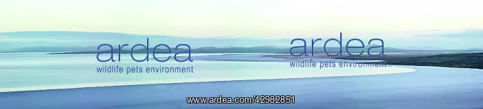 : Lake Gairdner : Lake Gairdner