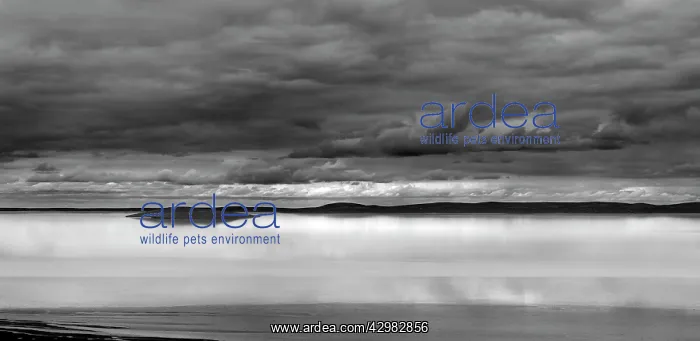 : Lake Gairdner : Lake Gairdner