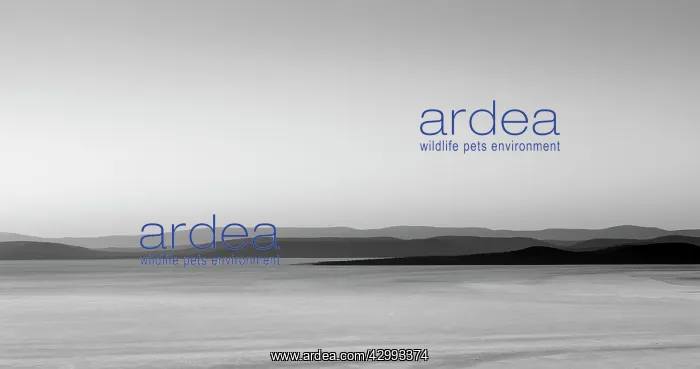 : Lake Gairdner : Lake Gairdner