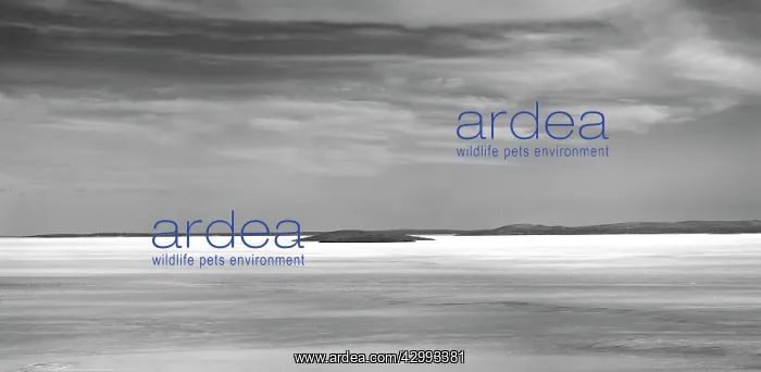 : Lake Gairdner : Lake Gairdner