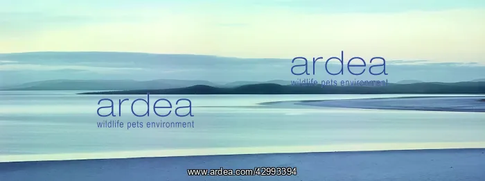 : Lake Gairdner : Lake Gairdner