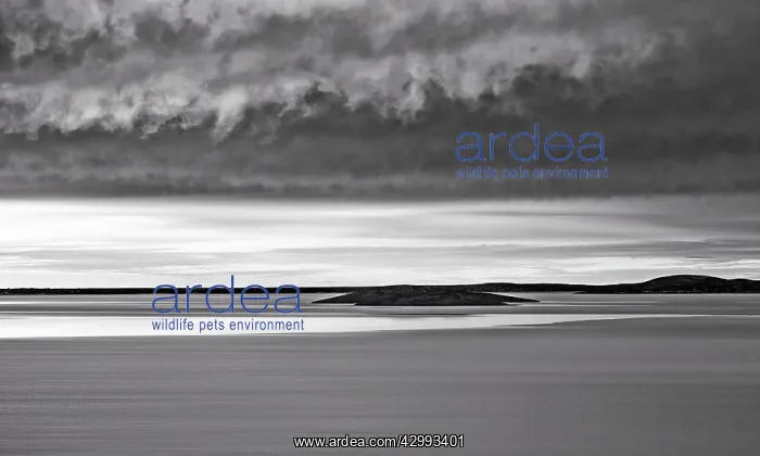 : Lake Gairdner : Lake Gairdner