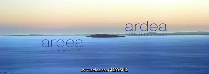: Lake Gairdner : Lake Gairdner