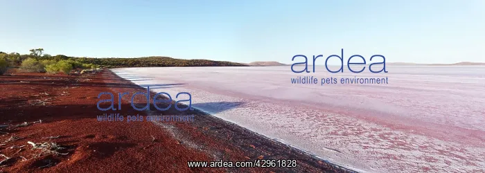 : Lake Gairdner National Park : Lake Gairdner National Park