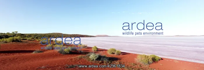: Lake Gairdner National Park : Lake Gairdner National Park