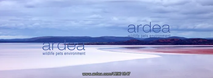 : Lake Gairdner National Park : Lake Gairdner National Park