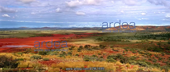 : Lake Gairdner National Park : Lake Gairdner National Park