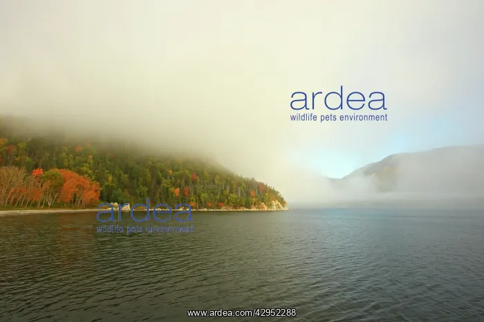 : Lake - Gros Morne National Park : Lake - Gros Morne National Park