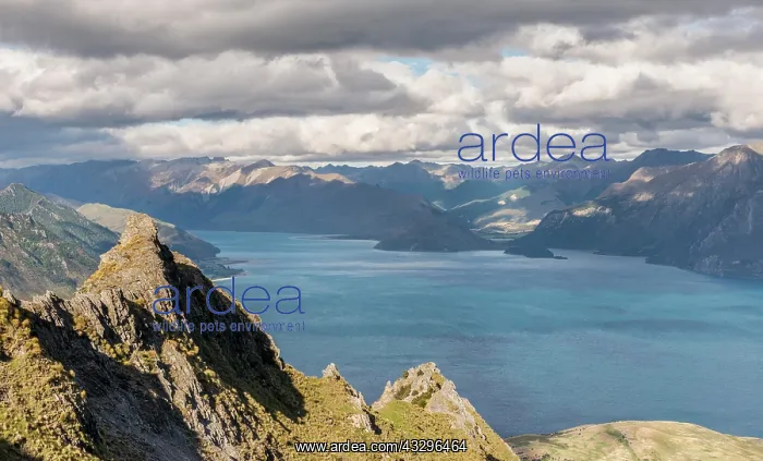 : Lake Hawea and mountain panorama, Isthmus Peak Track : Lake Hawea and mountain panorama, Isthmus Peak Track