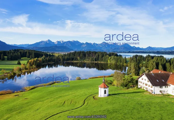 : Lake Hegratsrieder See, Hegratsried, near Halblech : Lake Hegratsrieder See, Hegratsried, near Halblech
