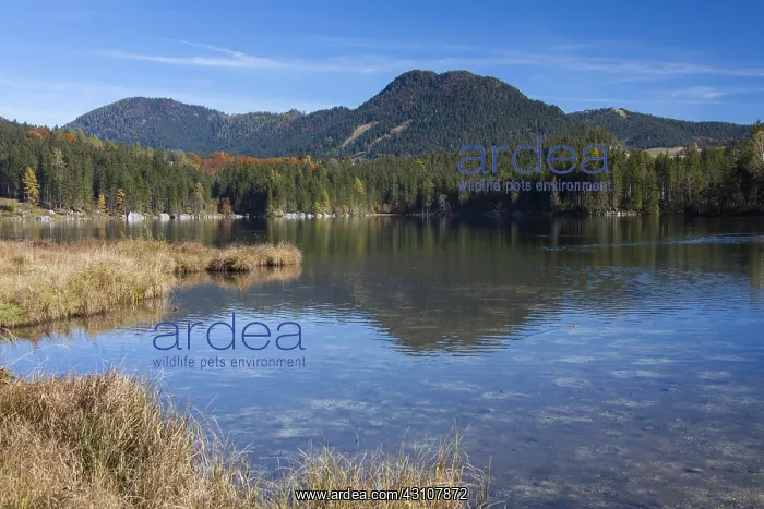 : Lake Hintersee - Berchtesgadener Land - Upper Bavaria : Lake Hintersee - Berchtesgadener Land - Upper Bavaria