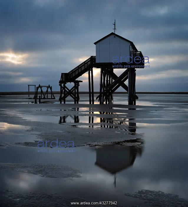 : Lake house at low tide on the beach at dawn, dark : Lake house at low tide on the beach at dawn, dark