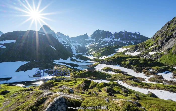 : Lake Isvatnet with ice, mountains and snow, mountain : Lake Isvatnet with ice, mountains and snow, mountain