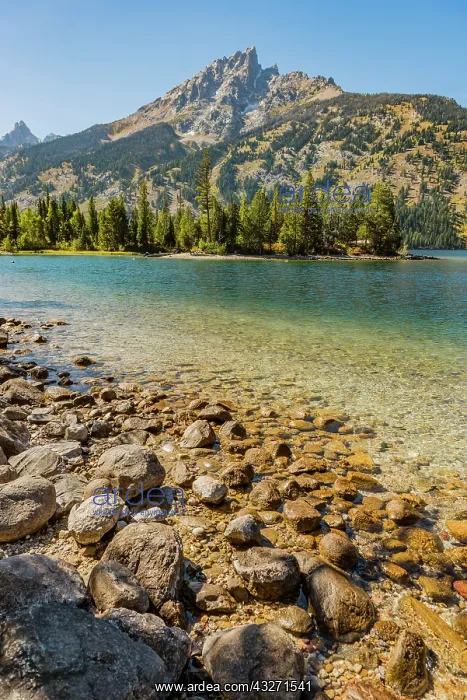 : Lake, Jenny Lake, Grand Teton Mountain, Teton Range : Lake, Jenny Lake, Grand Teton Mountain, Teton Range